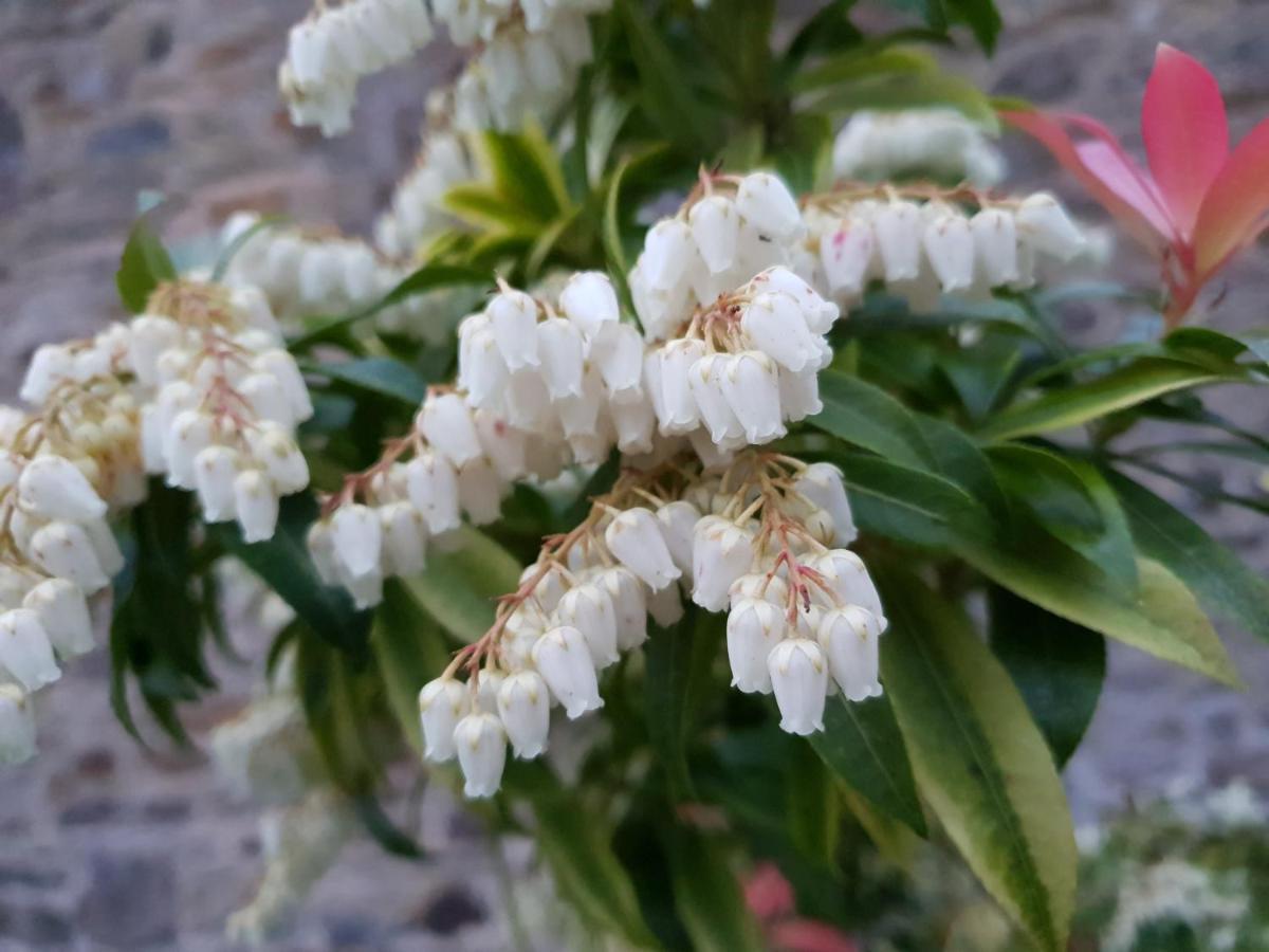 Couloumine Breizh Bed & Breakfast Saint-Aignan  Bagian luar foto