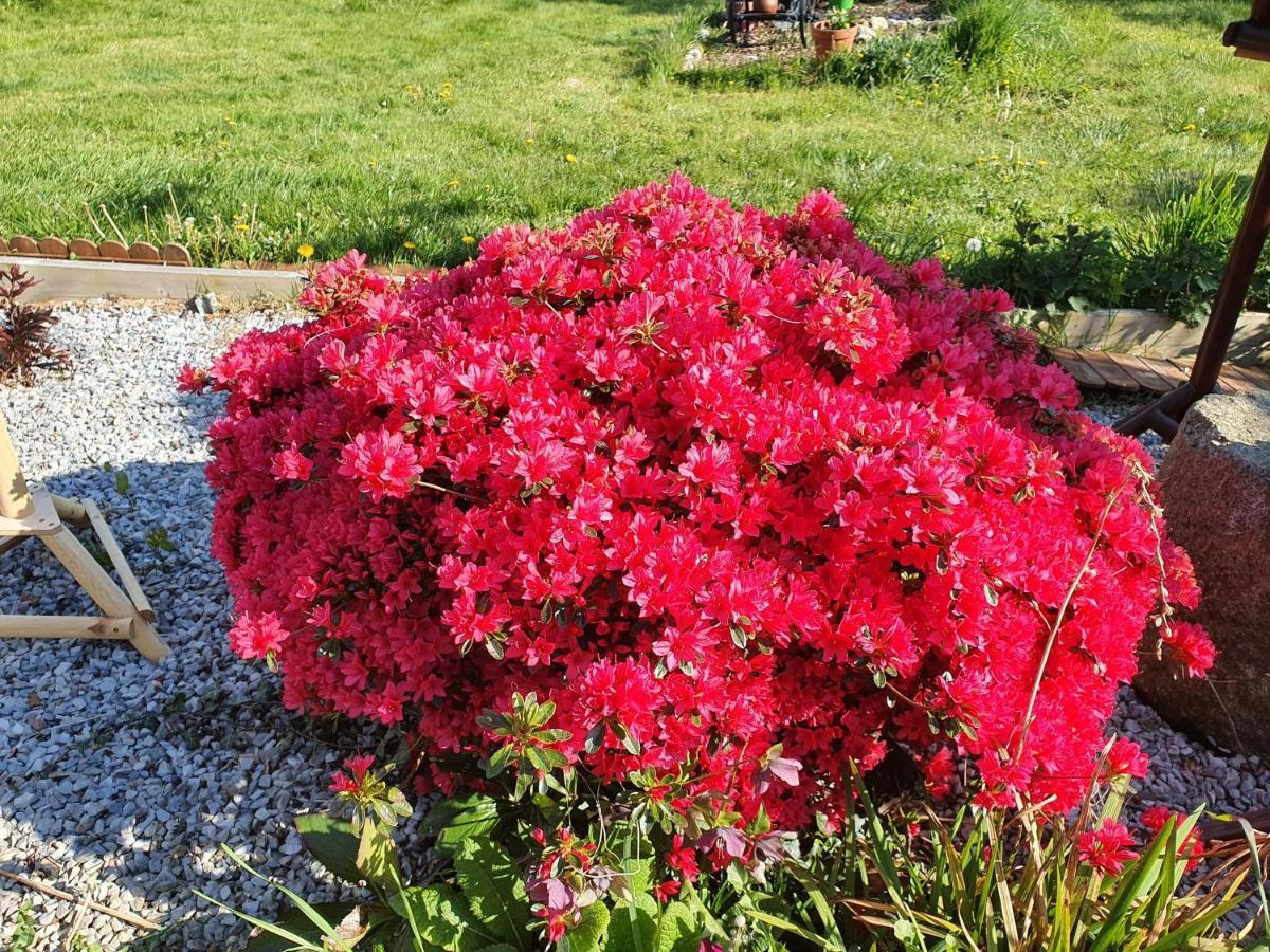 Couloumine Breizh Bed & Breakfast Saint-Aignan  Bagian luar foto