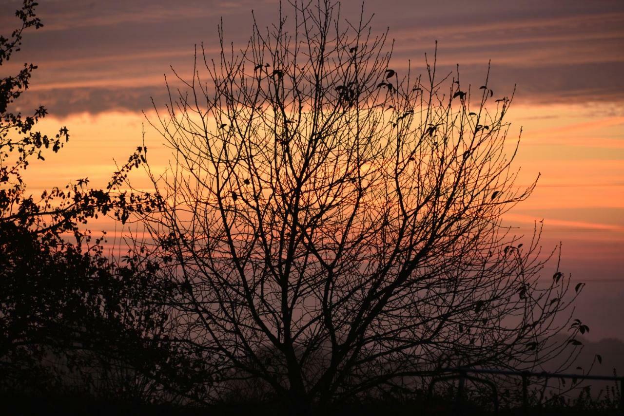 Couloumine Breizh Bed & Breakfast Saint-Aignan  Bagian luar foto